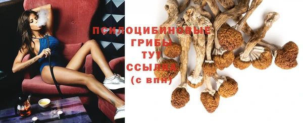 прущие крисы Наволоки