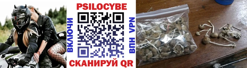 наркотики Лодейное Поле Галлюциногенные грибы GOLDEN TEACHER